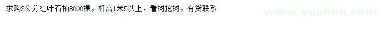 求購(gòu)3公分紅葉石楠
