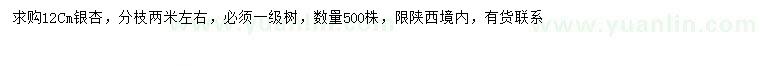 求購12公分銀杏