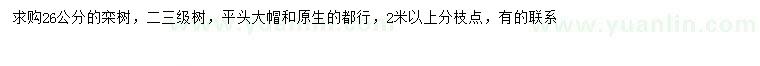 求購26公分欒樹