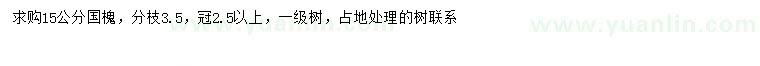 求購15公分國槐