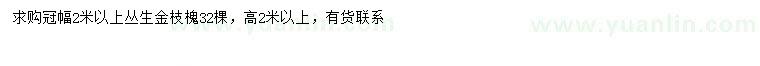 求購冠幅2米以上叢生金枝槐