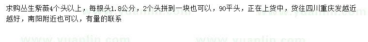 求購4個頭以上叢生紫薇