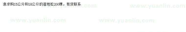 求購15、18公分濕地松