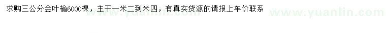 求購(gòu)3公分金葉榆