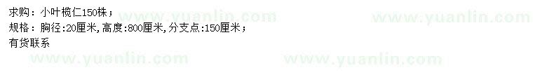 求購胸徑20公分小葉欖仁