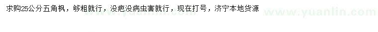 求購25公分五角楓