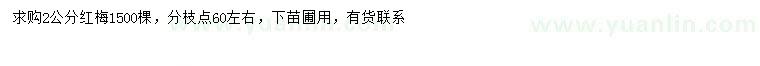求購(gòu)2公分紅梅
