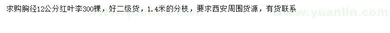 求購胸徑12公分紅葉李
