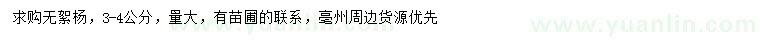 求購3-4公分無(wú)絮楊