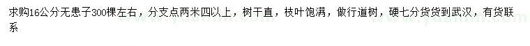 求購16公分無患子