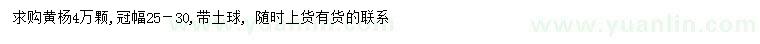 求購(gòu)冠幅25-30公分黃楊