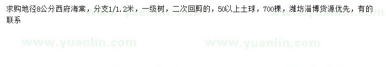 求購(gòu)地徑8公分西府海棠