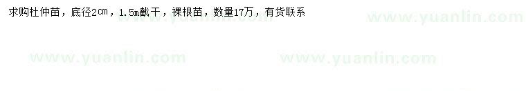 求購2公分杜仲