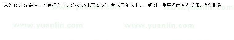 求購(gòu)15公分欒樹(shù)