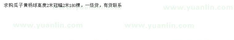 求購冠幅2米瓜子黃楊球