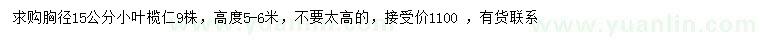 求購胸徑15公分小葉欖仁