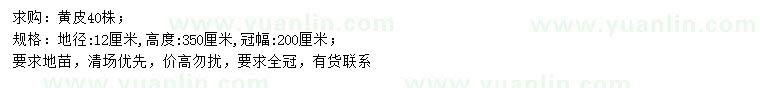 求購(gòu)地徑12公分黃皮