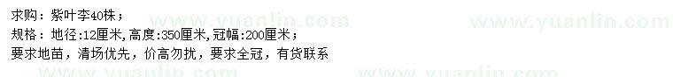 求購地徑12公分紫葉李