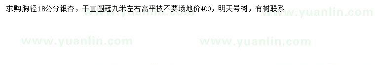 求購胸徑18公分銀杏