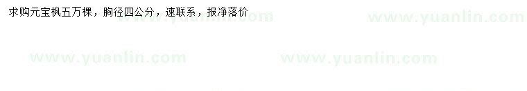 求購胸徑4公分元寶楓