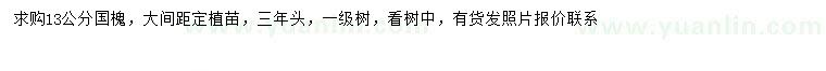 求購13公分國槐