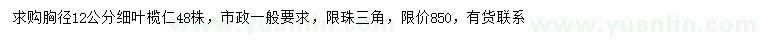 求購胸徑12公分細(xì)葉欖仁