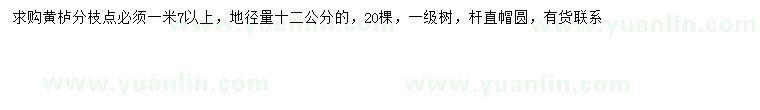 求購(gòu)地徑20公分黃櫨