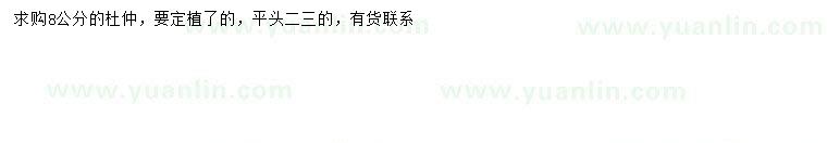求購8公分杜仲