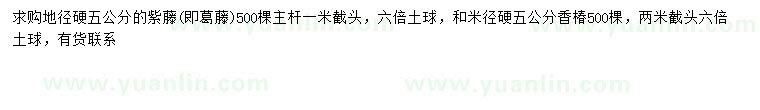 求購地徑5公分紫藤、米徑5公分香樟