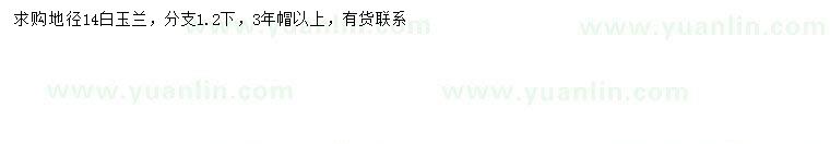 求購地徑14公分白玉蘭