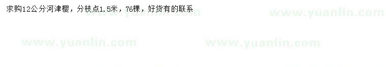 求購(gòu)12公分河津櫻