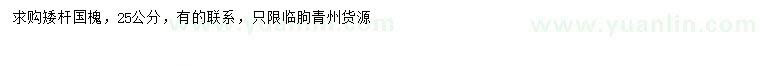 求購25公分國槐