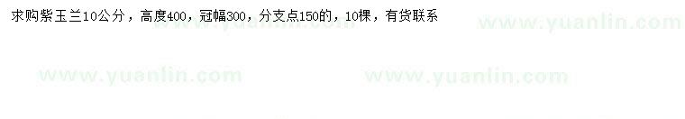 求購10公分紫玉蘭