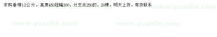 求購(gòu)12公分垂柳