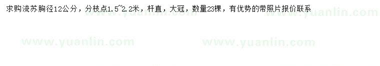 求購胸徑12公分流蘇