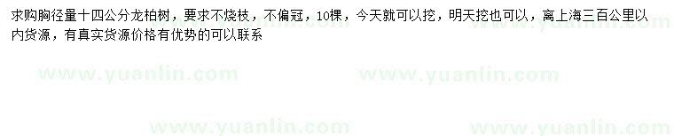 求購(gòu)胸徑14公分龍柏
