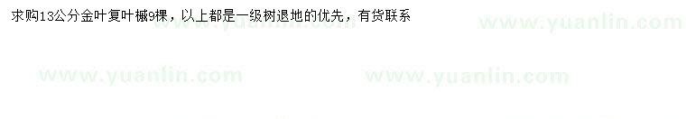 求購(gòu)13公分金葉復(fù)葉槭