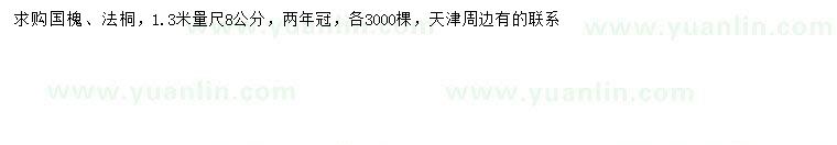 求購1.3米量8公分國槐、法桐