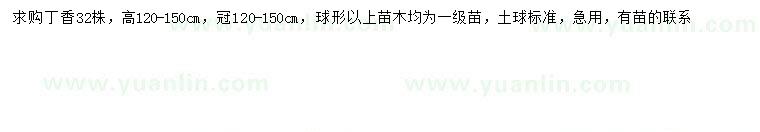 求購高120-150公分丁香