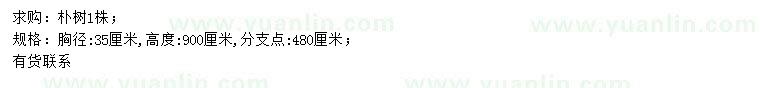 求購胸徑35公分樸樹