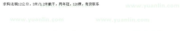 求購12公分法桐