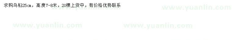 求購25公分烏桕