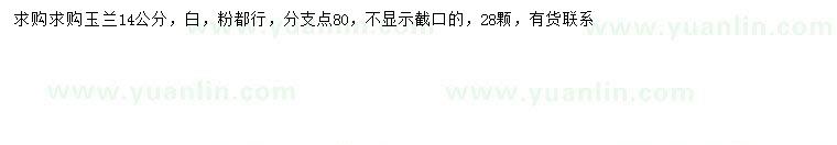 求購14公分玉蘭