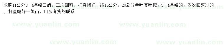 求購11公分白蠟、20公分金葉復(fù)葉槭