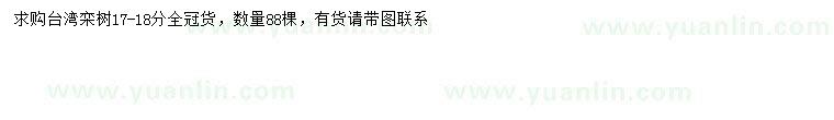 求購(gòu)17-18公分臺(tái)灣欒樹(shù)