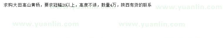 求購(gòu)冠幅20公分以上高山黃楊