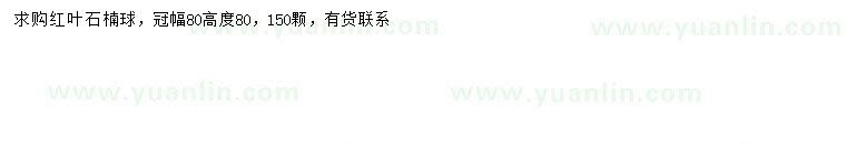 求購(gòu)冠幅80公分紅葉石楠球