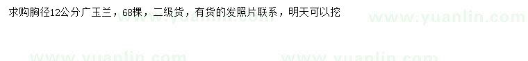求購胸徑12公分廣玉蘭