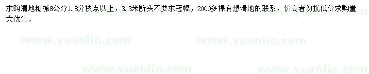 求購8公分糖槭