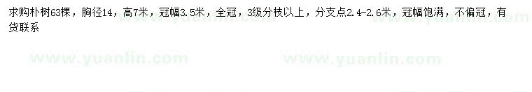 求購胸徑14公分樸樹